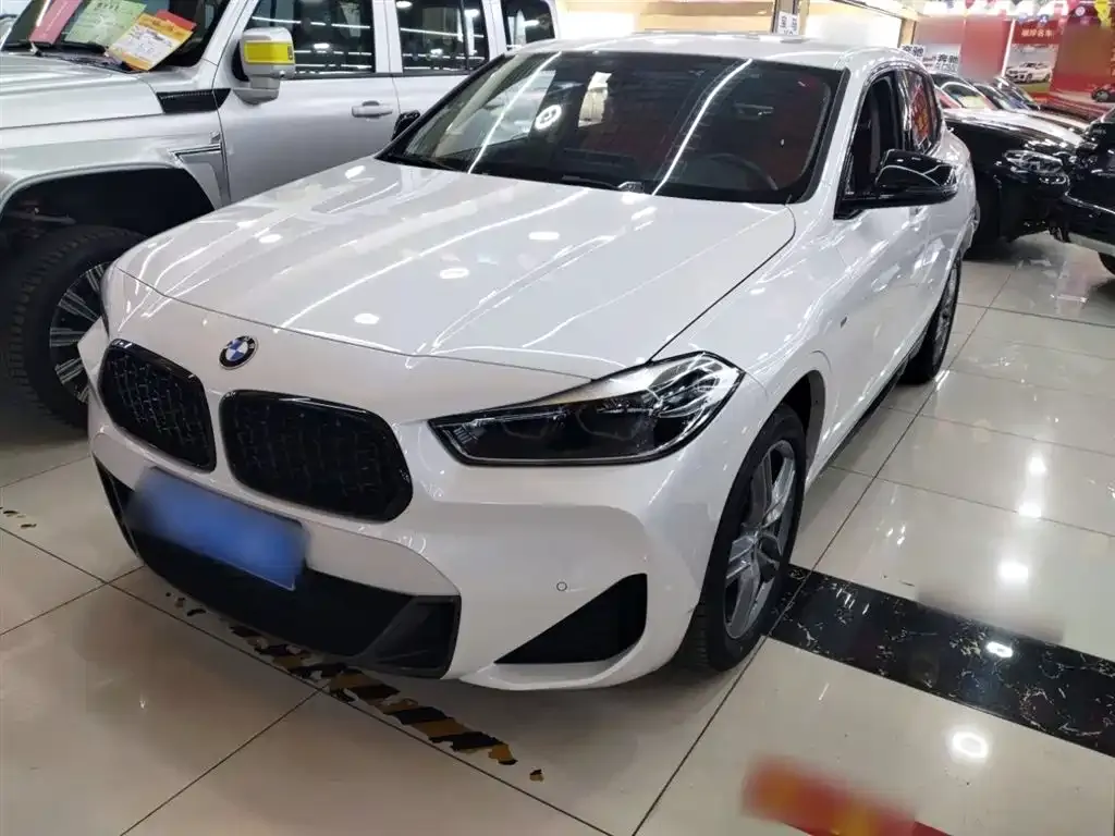 BMW X2 — фото 1