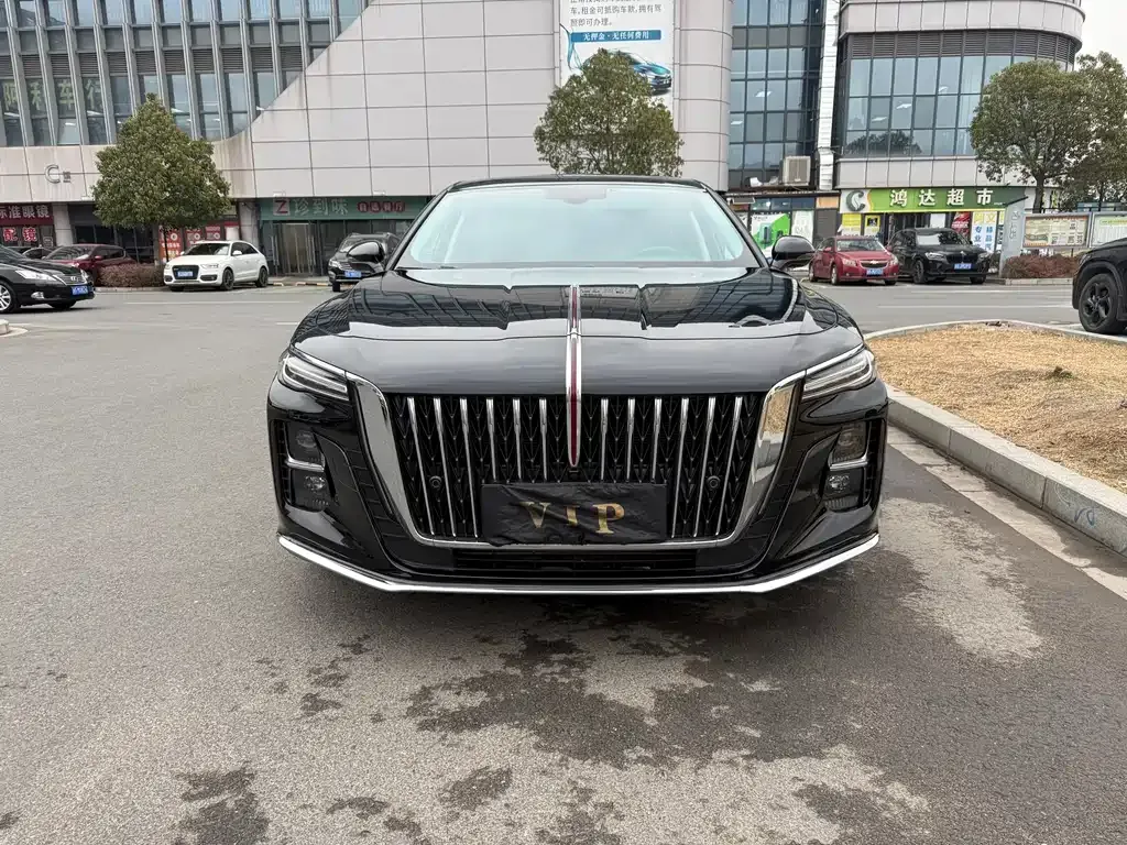 Hongqi H5 2023 из CN, фото 8