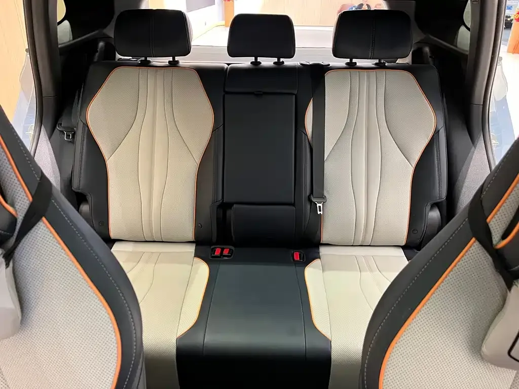 BYD PLUS New Energy 2024 из CN, фото 4