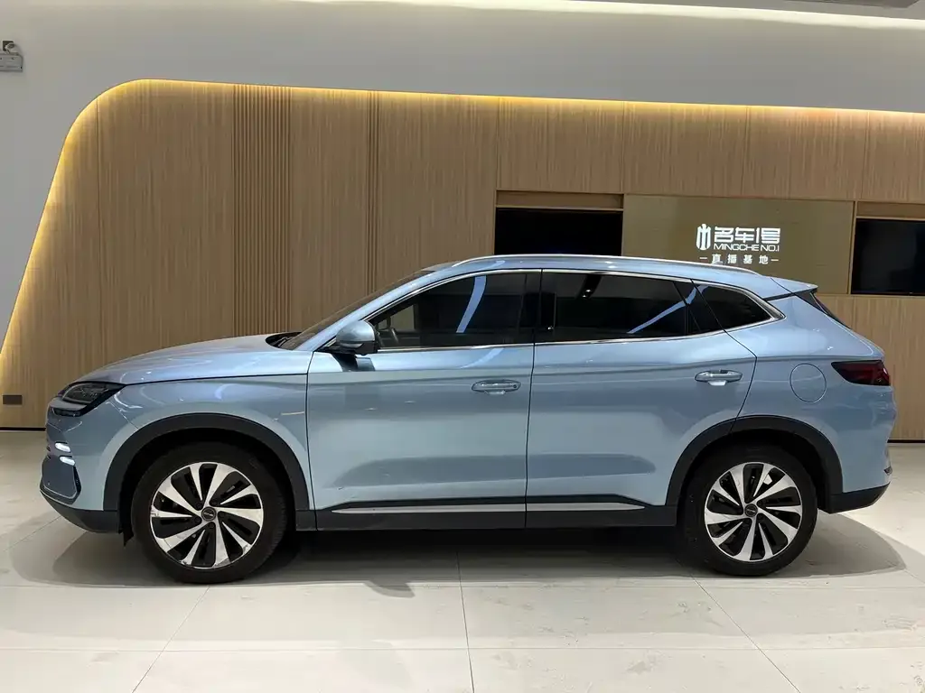 BYD PLUS New Energy 2024 из CN, фото 6