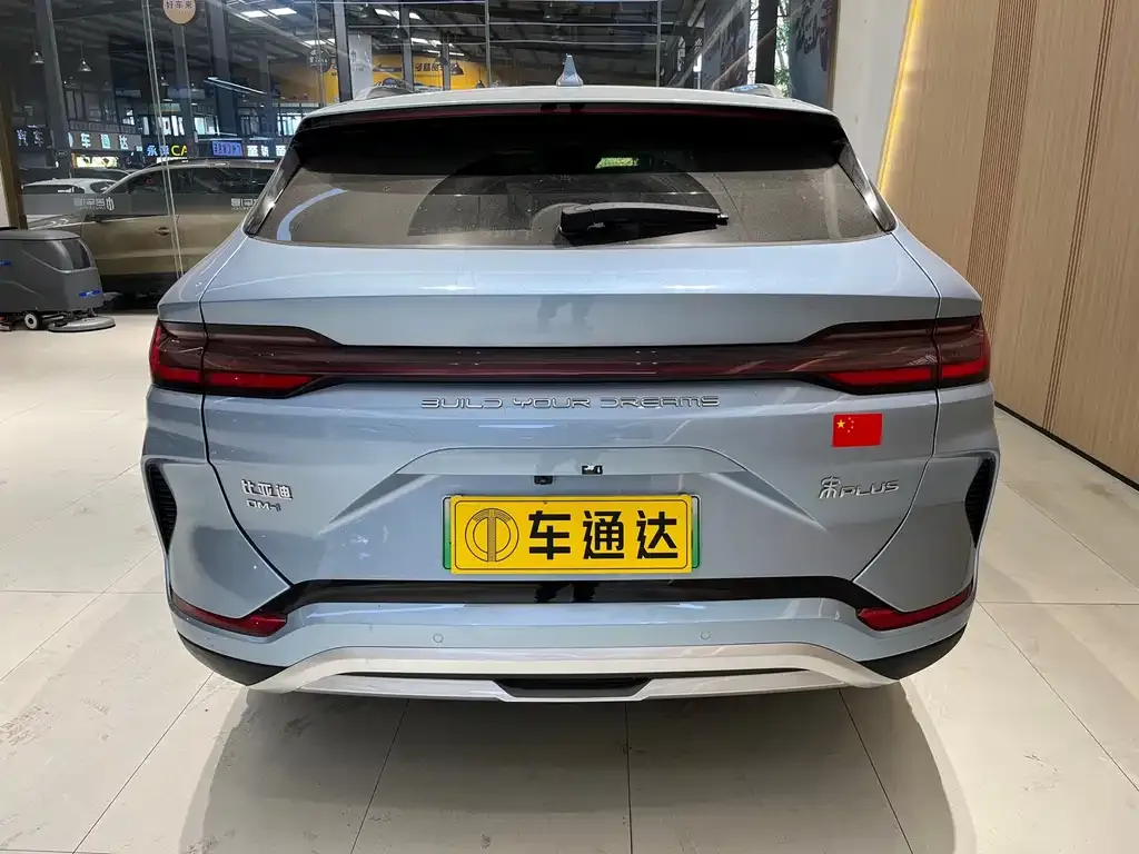 BYD PLUS New Energy 2024 из CN, фото 2