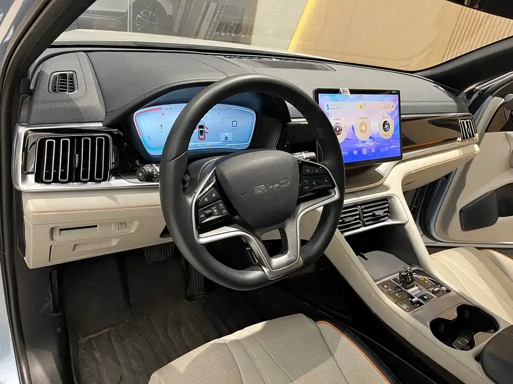 BYD PLUS New Energy 2024 из CN, фото 7