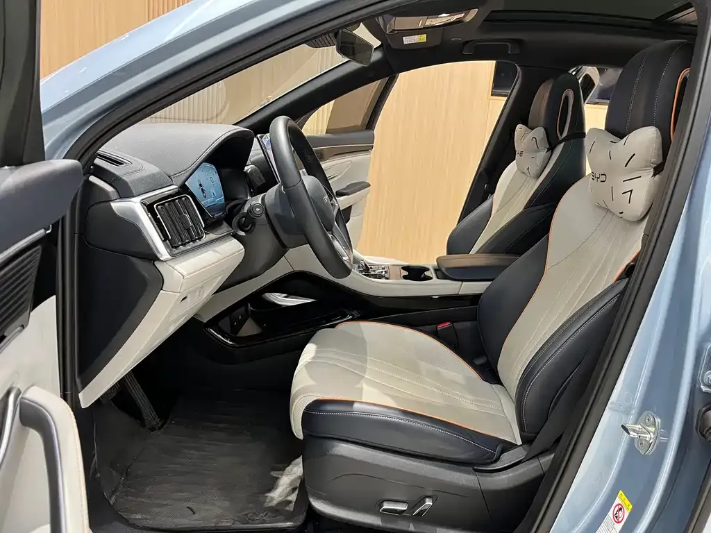 BYD PLUS New Energy 2024 из CN, фото 10