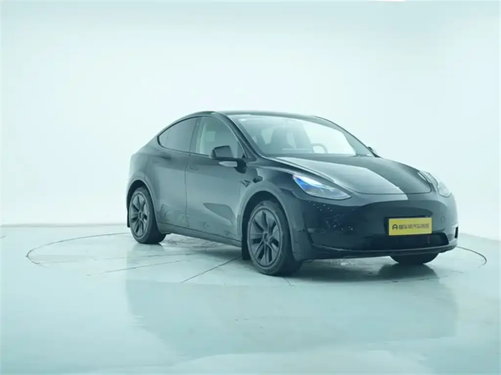 Tesla Model Y 2023 из CN, фото 8