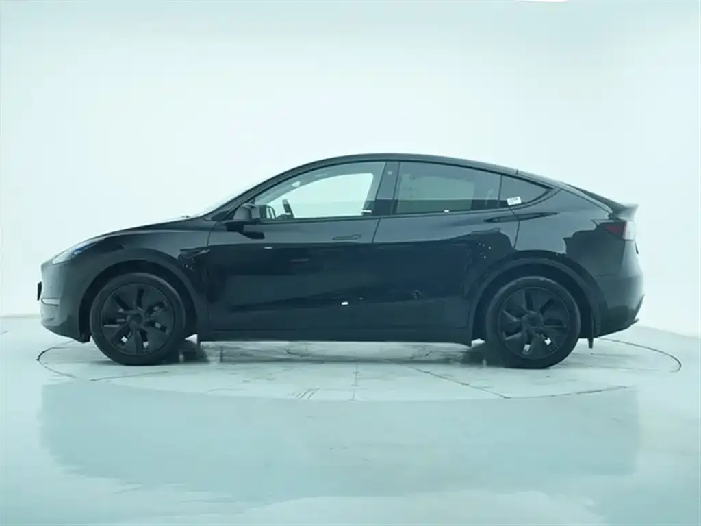 Tesla Model Y 2023 из CN, фото 2