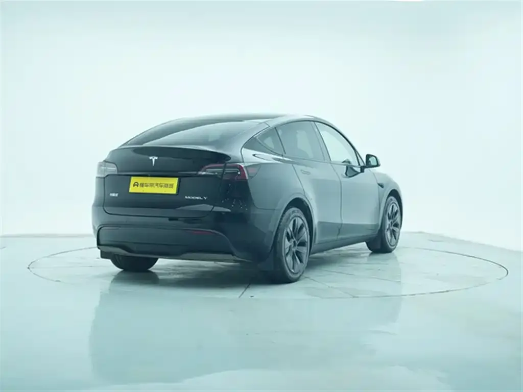 Tesla Model Y 2023 из CN, фото 9