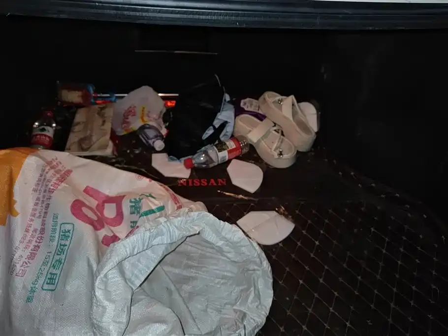 Nissan Sylphy 2024 из CN, фото 10