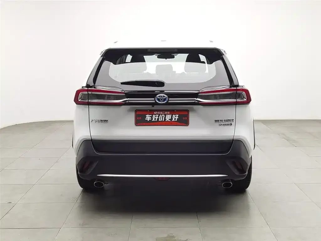 Toyota Wildlander 2023 из CN, фото 5