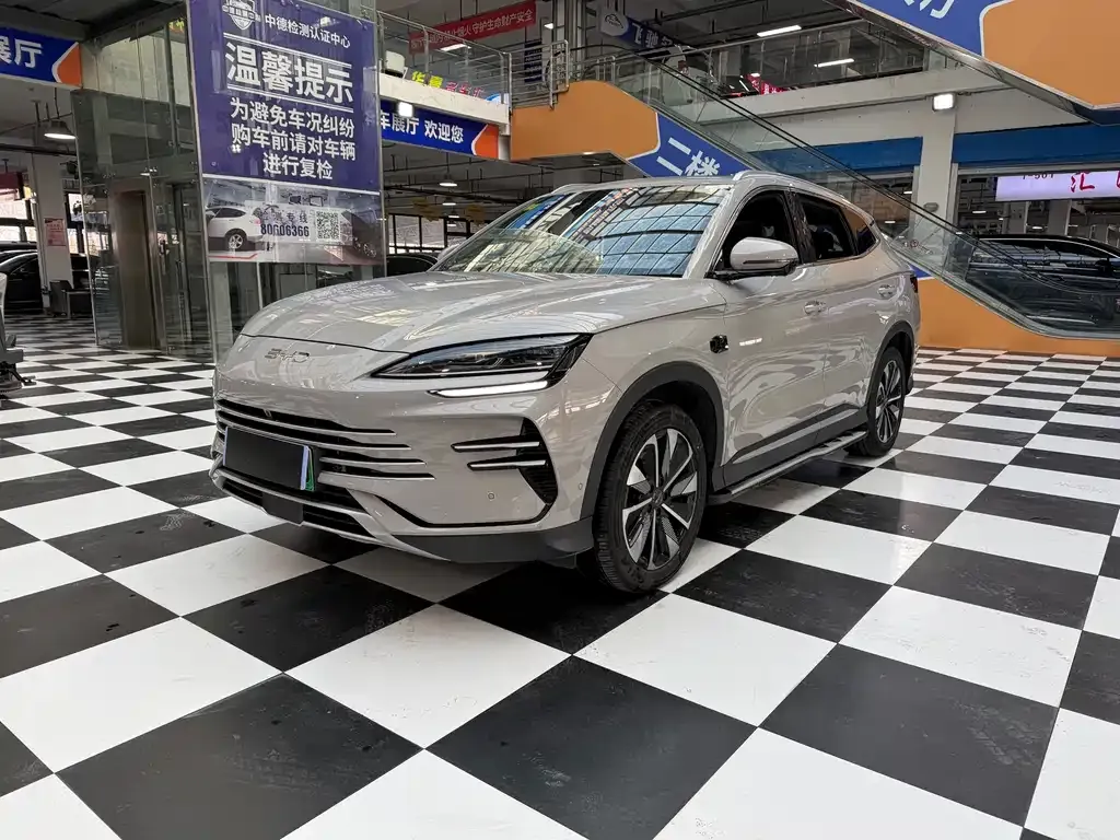 BYD PLUS New Energy 2025 из CN, фото 1