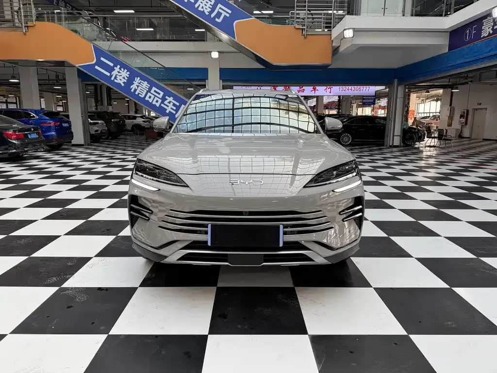 BYD PLUS New Energy 2025 из CN, фото 6