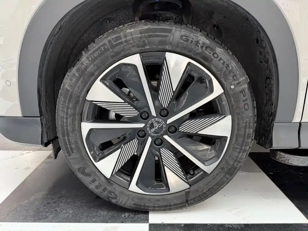BYD PLUS New Energy 2025 из CN, фото 10