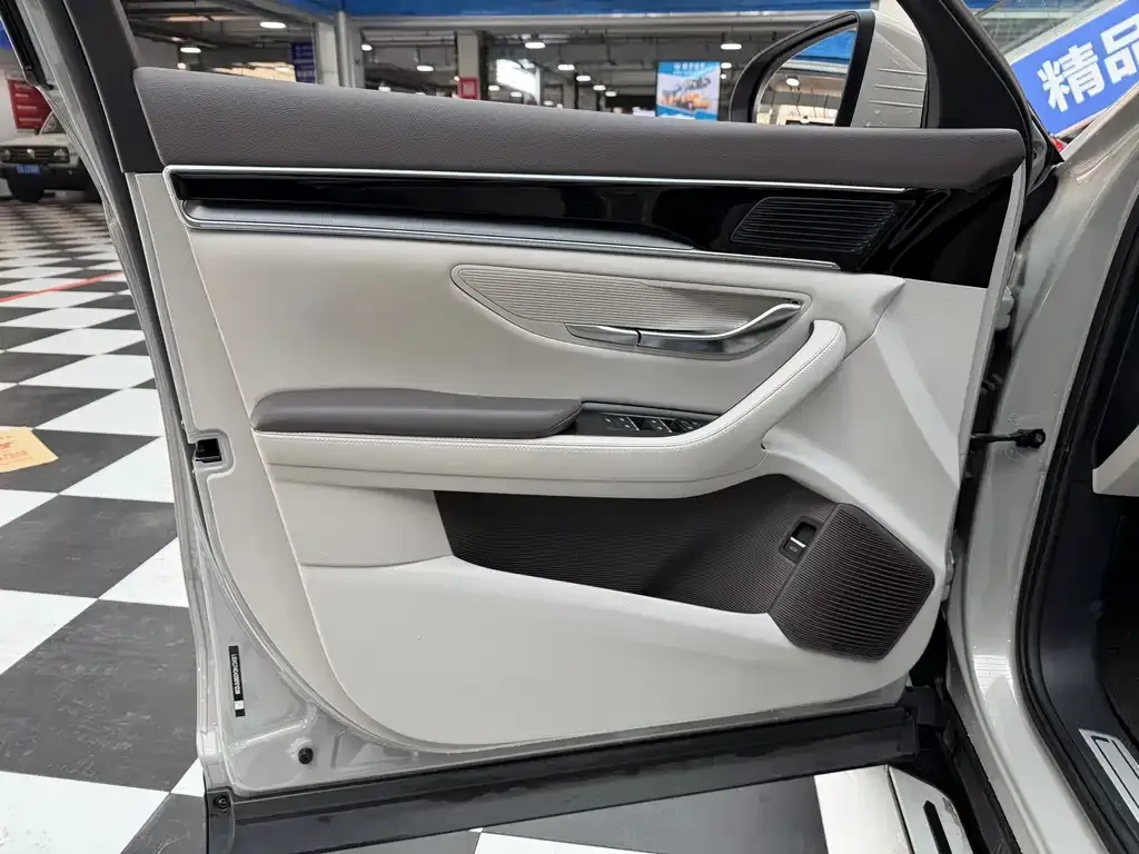 BYD PLUS New Energy 2025 из CN, фото 4