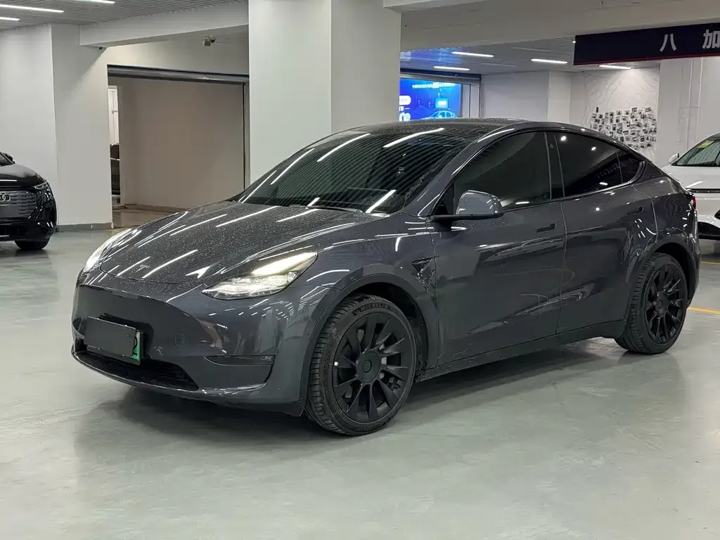 Tesla Model Y 2021 из CN, фото 1