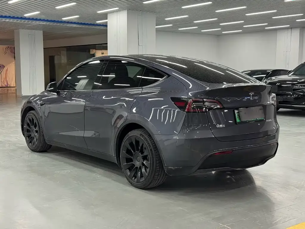 Tesla Model Y 2021 из CN, фото 4
