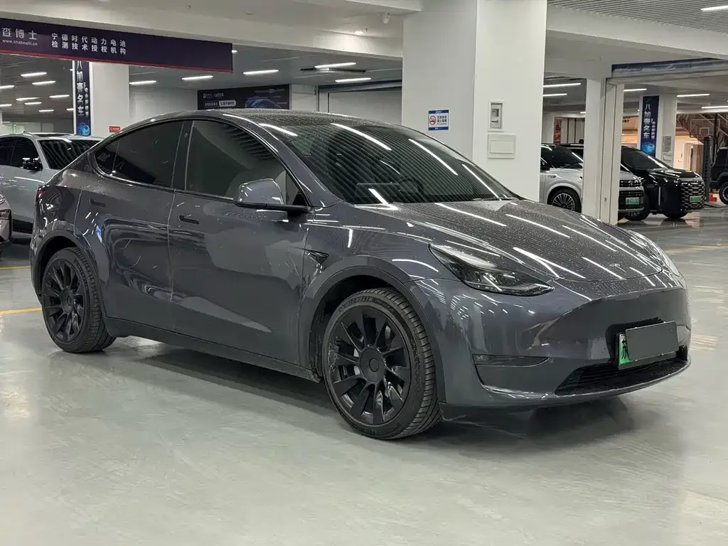 Tesla Model Y 2021 из CN, фото 6