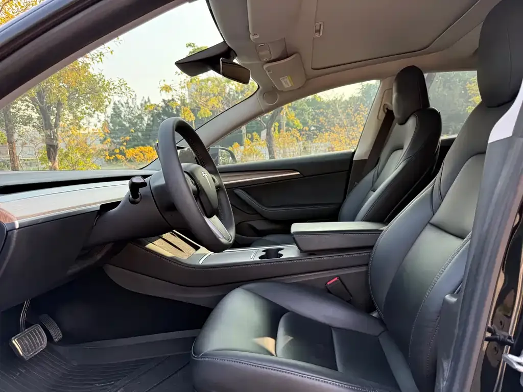 Tesla Model 3 — фото 2