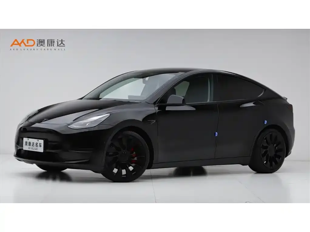 Tesla Model Y 2022 из CN, фото 1