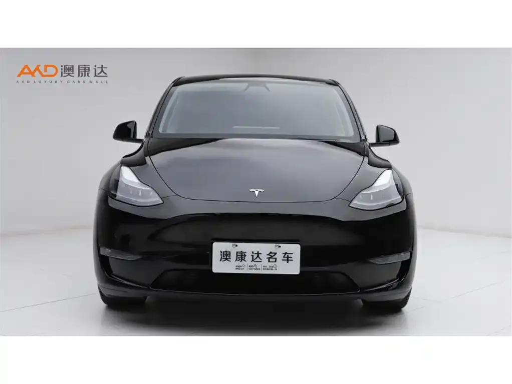 Tesla Model Y 2022 из CN, фото 5