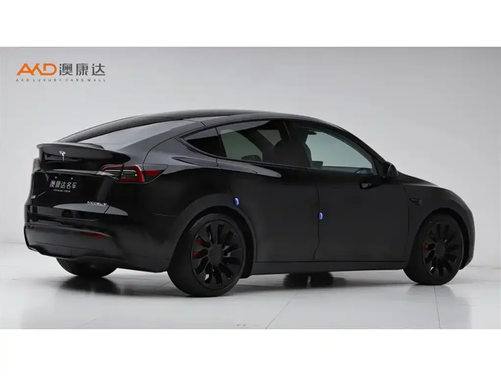 Tesla Model Y 2022 из CN, фото 8
