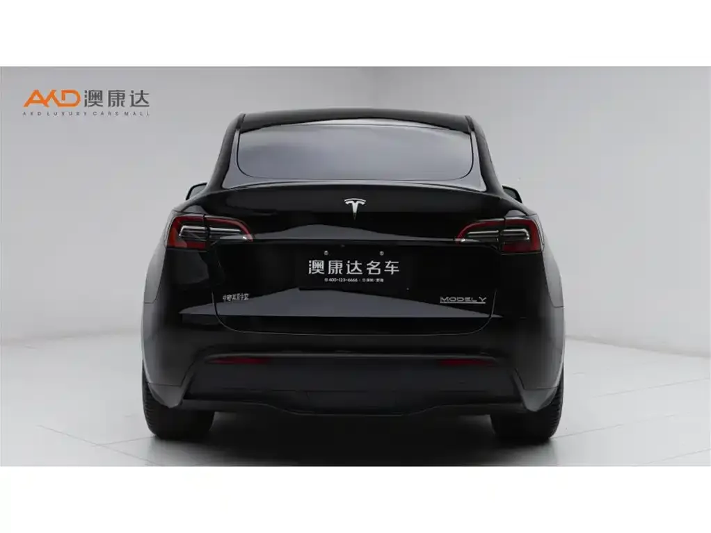 Tesla Model Y 2022 из CN, фото 3