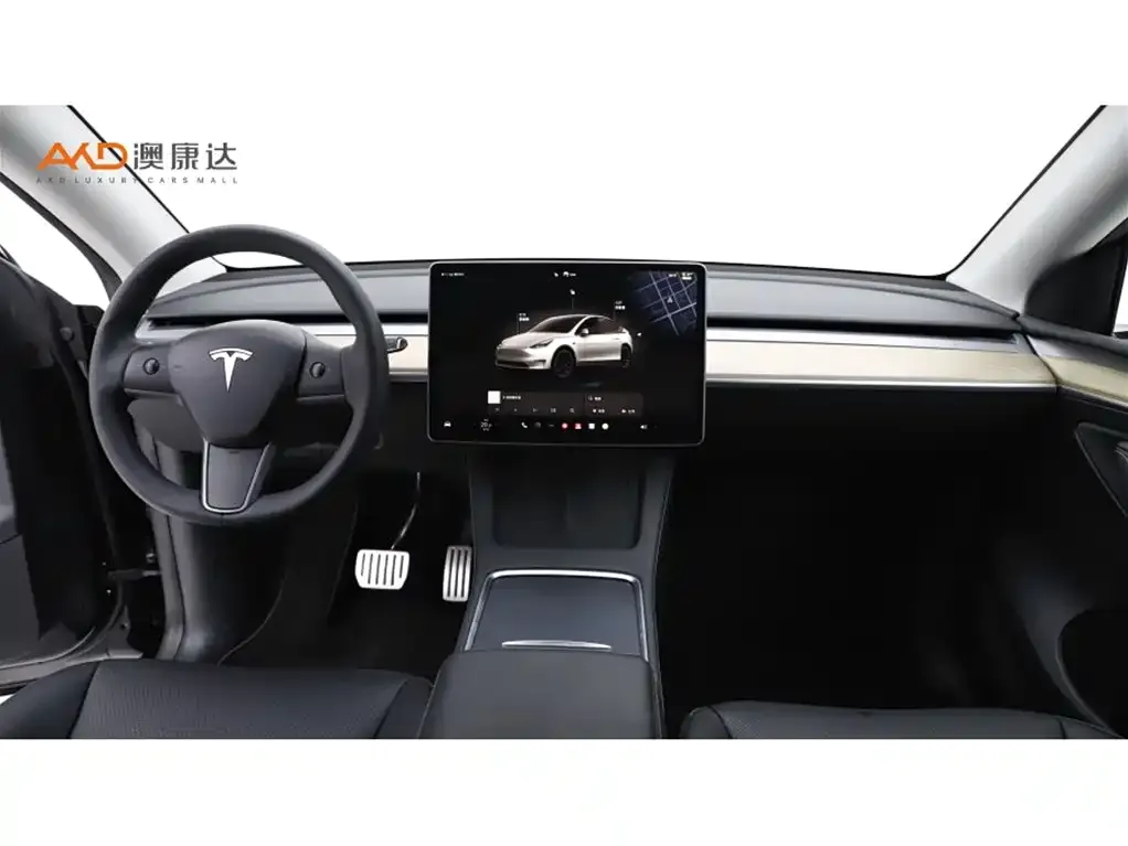 Tesla Model Y 2022 из CN, фото 6