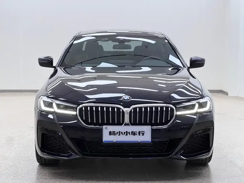 BMW 5 Series — фото 10