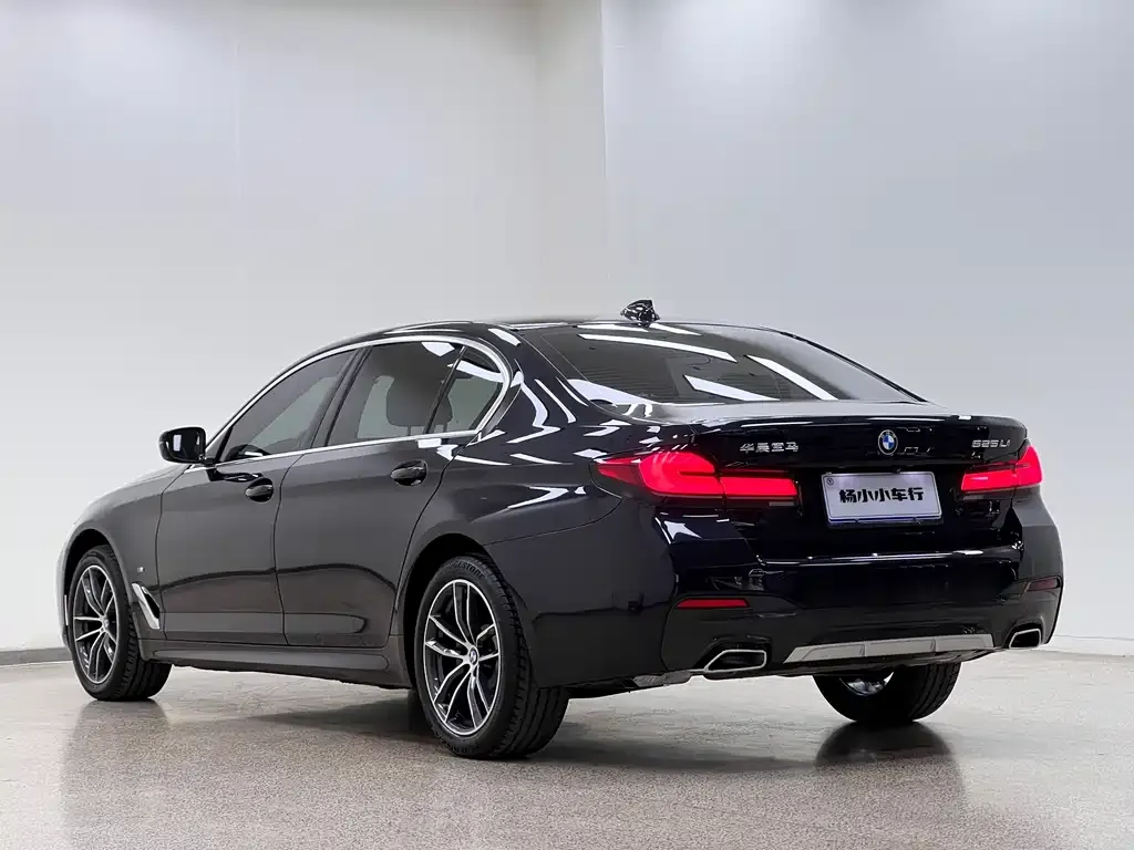 BMW 5 Series — фото 4