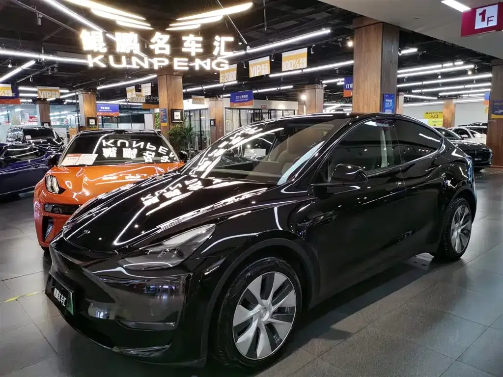 Tesla Model Y — фото 1