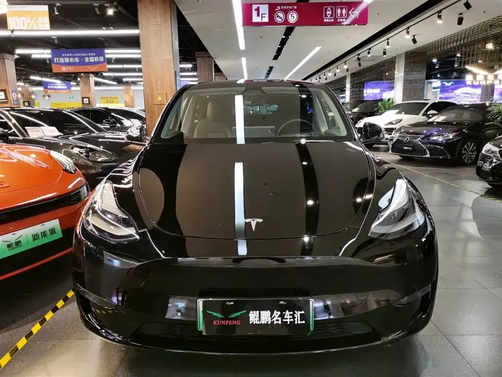 Tesla Model Y — фото 9