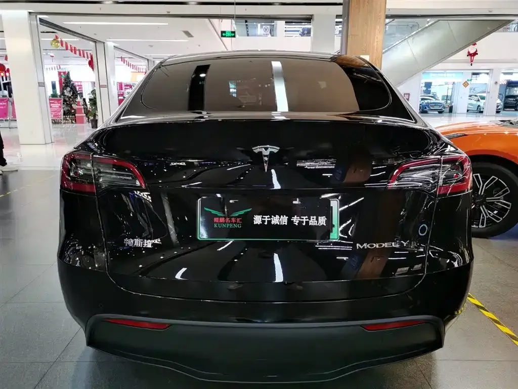 Tesla Model Y — фото 10