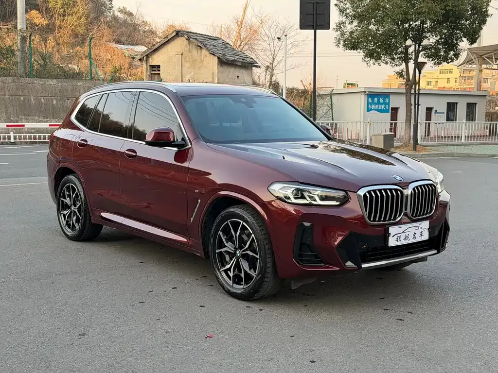 BMW X3 2022 из CN, фото 6