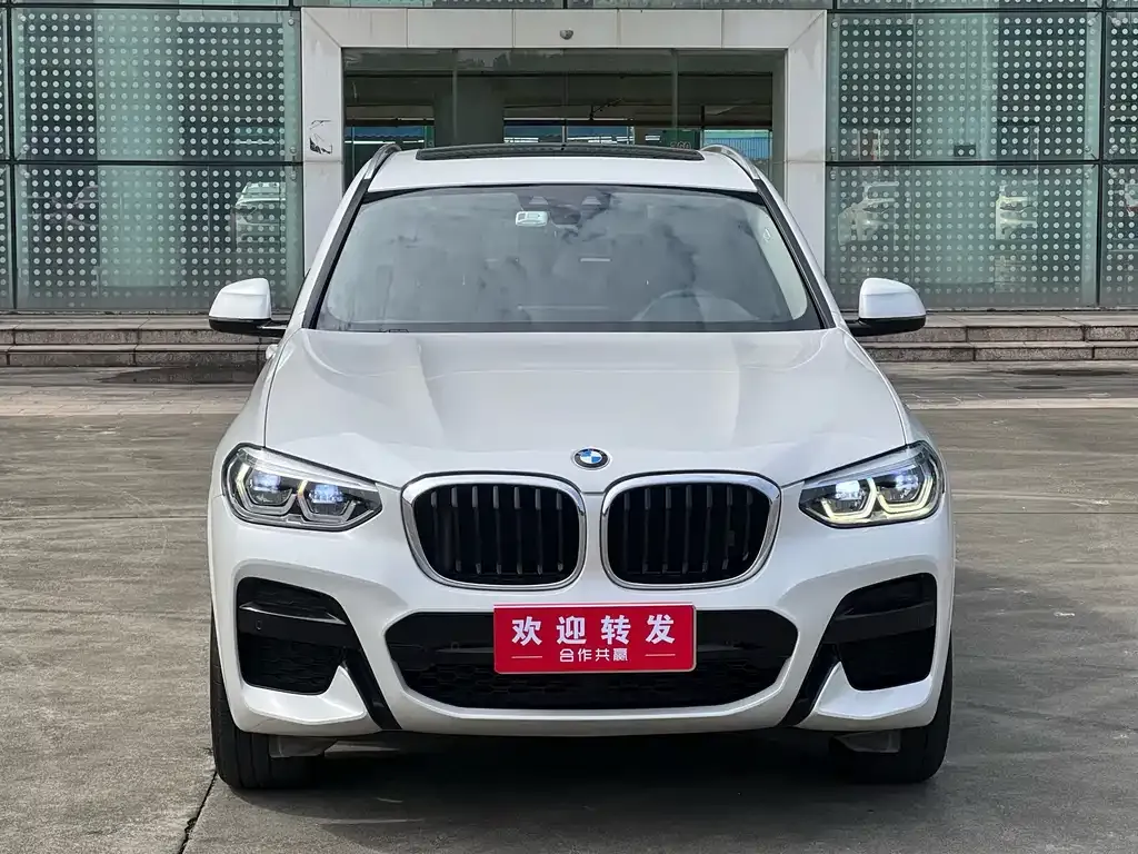 BMW X3 2021 из CN, фото 4