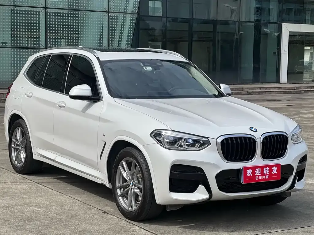BMW X3 2021 из CN, фото 7