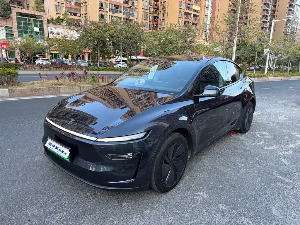 Tesla Model Y 2025 из CN, фото 1