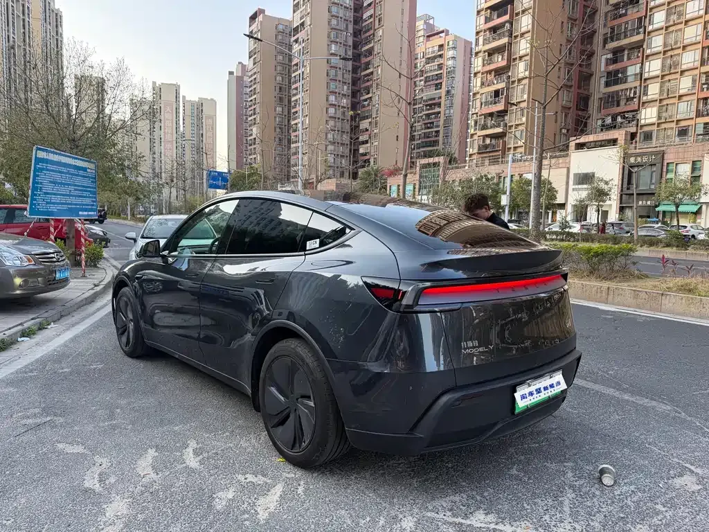 Tesla Model Y 2025 из CN, фото 3
