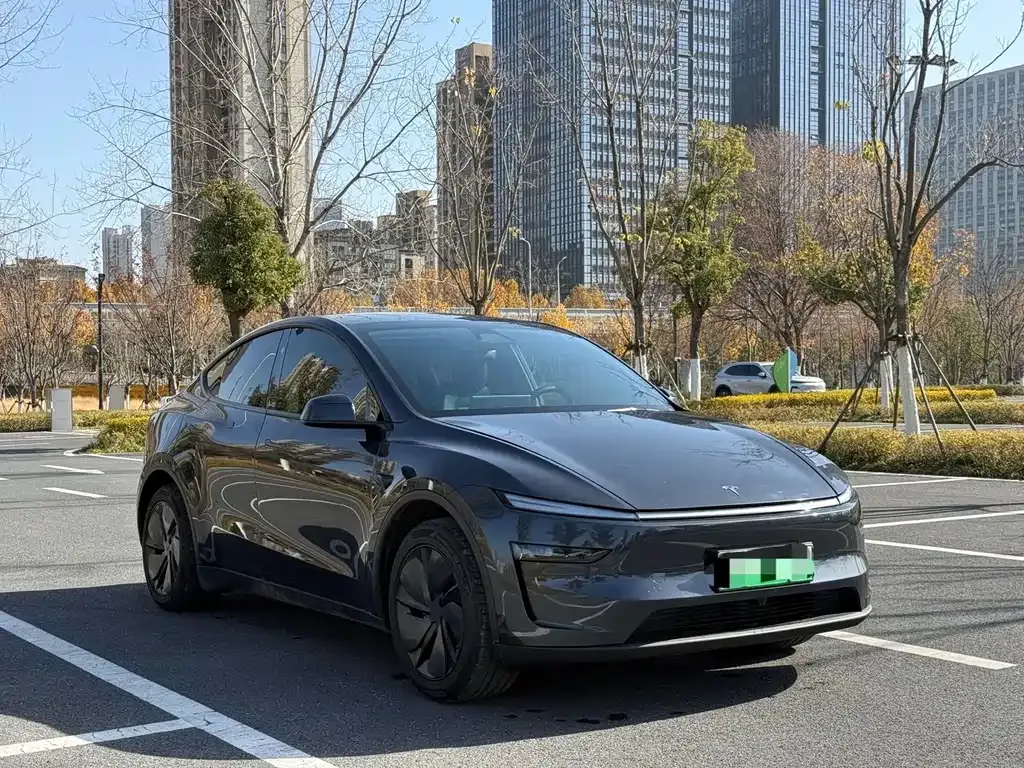 Tesla Model Y — фото 7