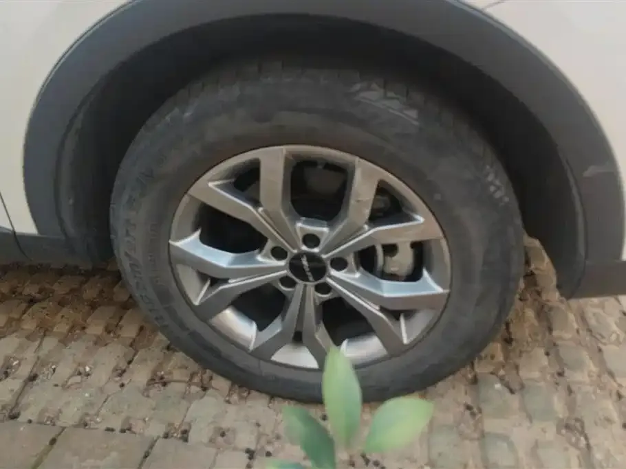 Haval H6 2024 из CN, фото 4