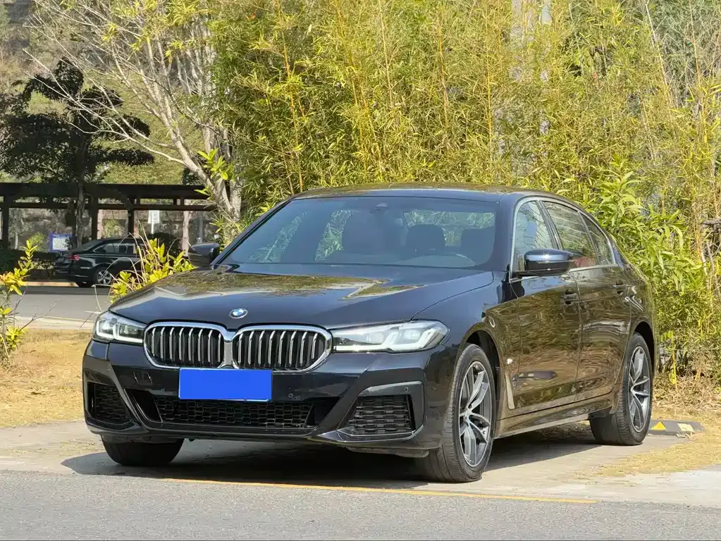 BMW 5 Series — фото 1