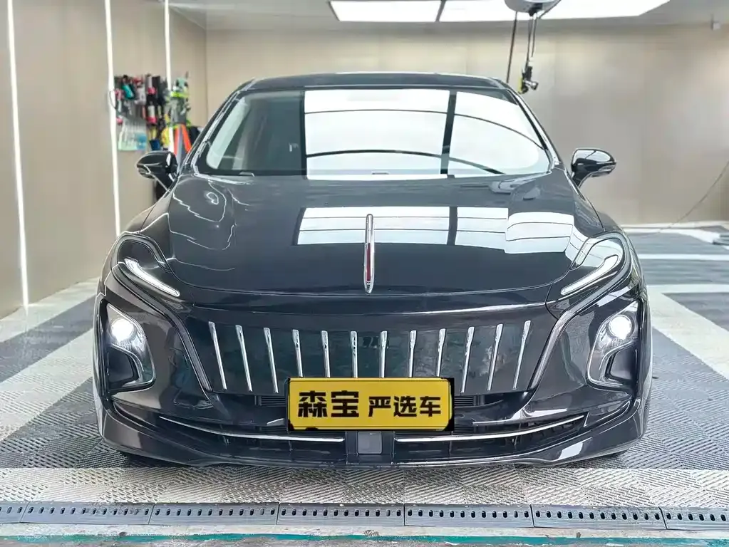 Hongqi E-QM5 — фото 7