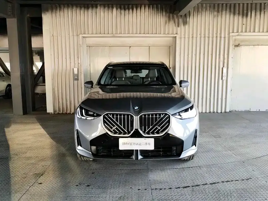 BMW X3 2025 из CN, фото 2