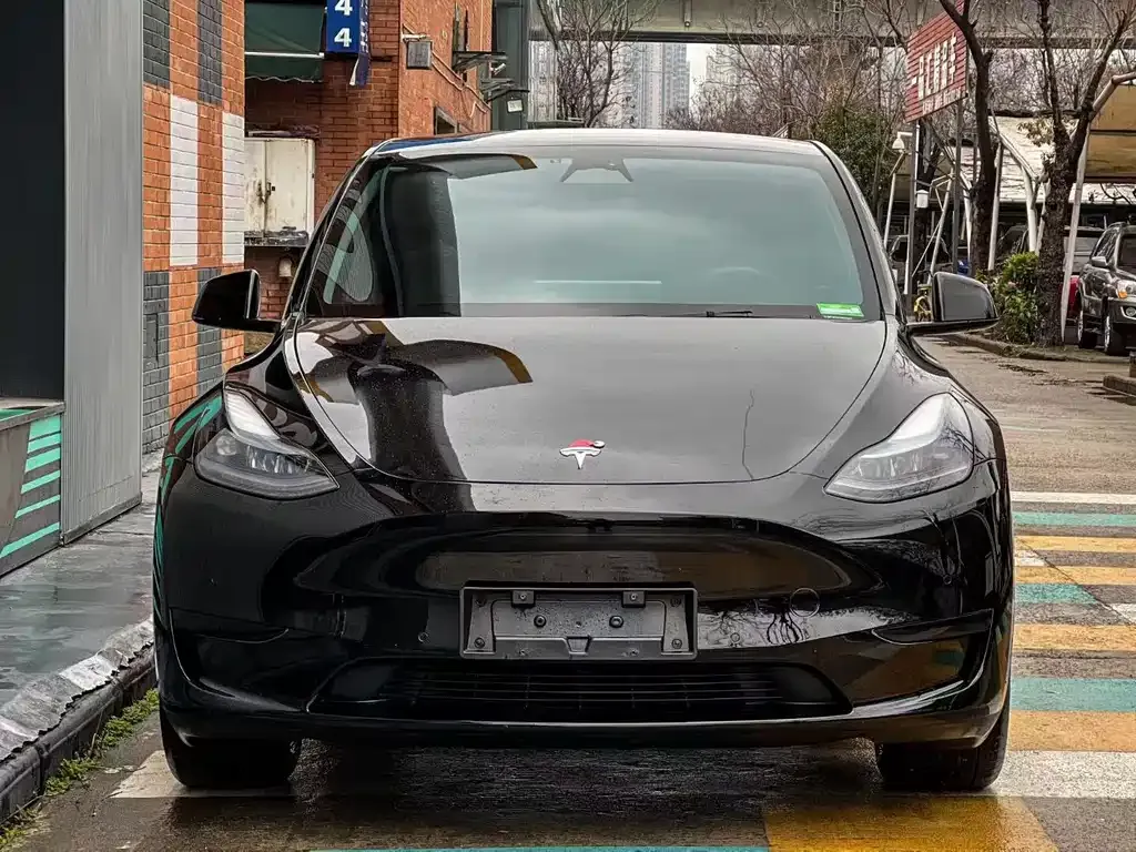 Tesla Model Y — фото 10