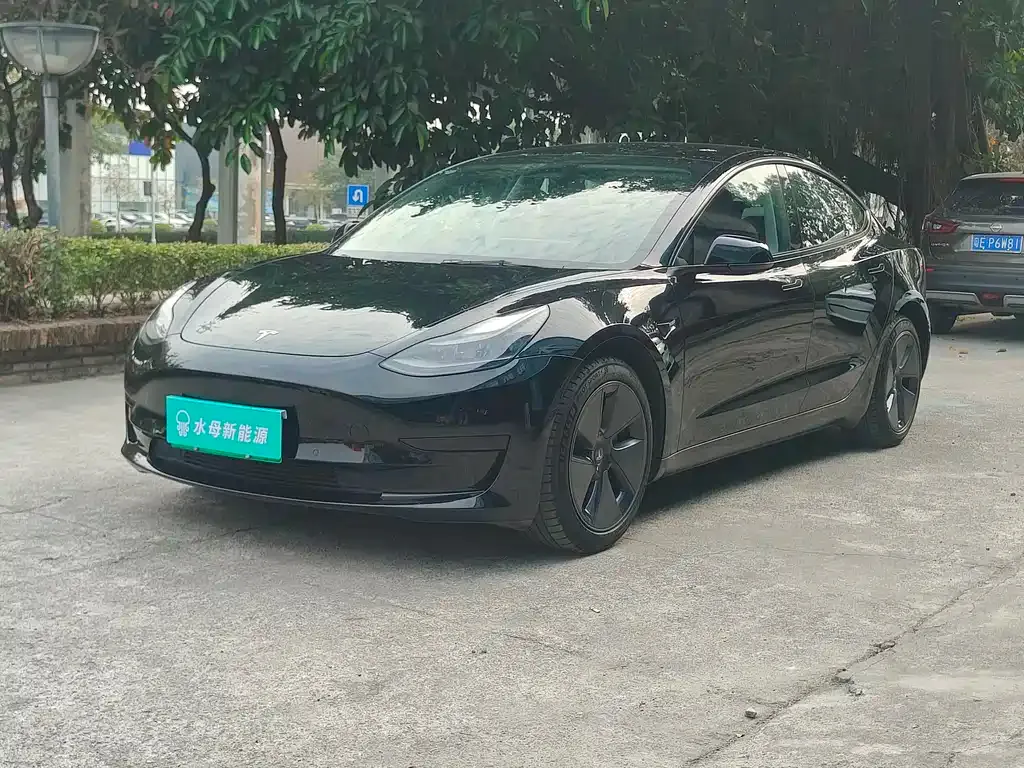 Tesla Model 3 2021 из CN, фото 1