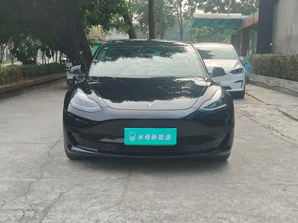 Tesla Model 3 2021 из CN, фото 9