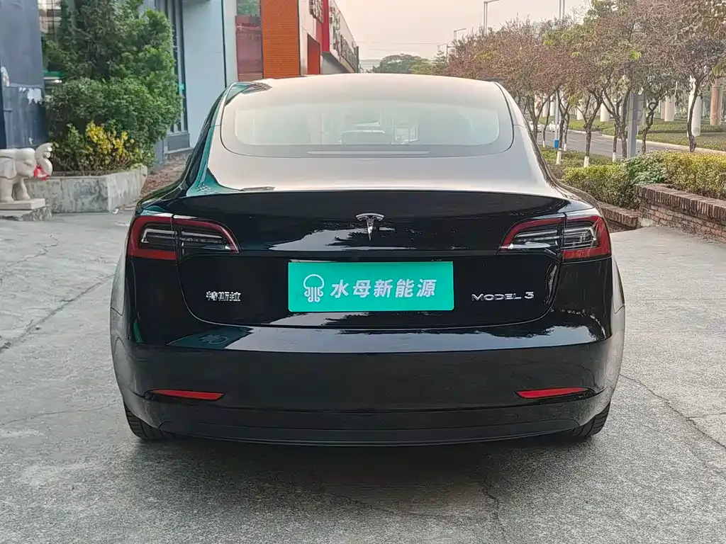 Tesla Model 3 2021 из CN, фото 4