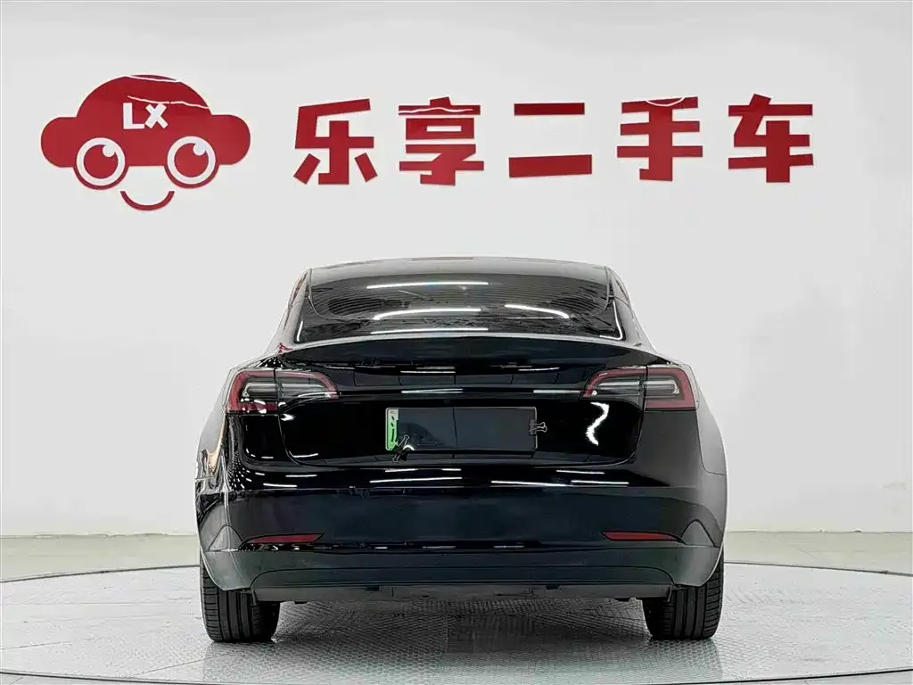 Tesla Model 3 2021 из CN, фото 2