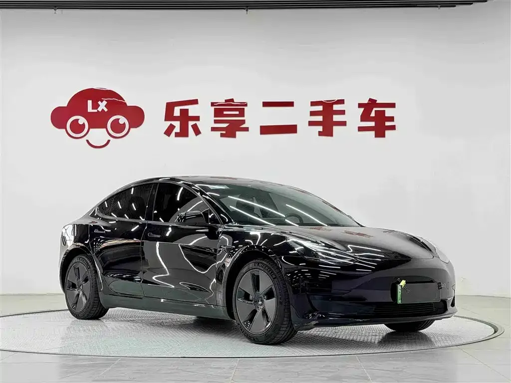Tesla Model 3 2021 из CN, фото 8