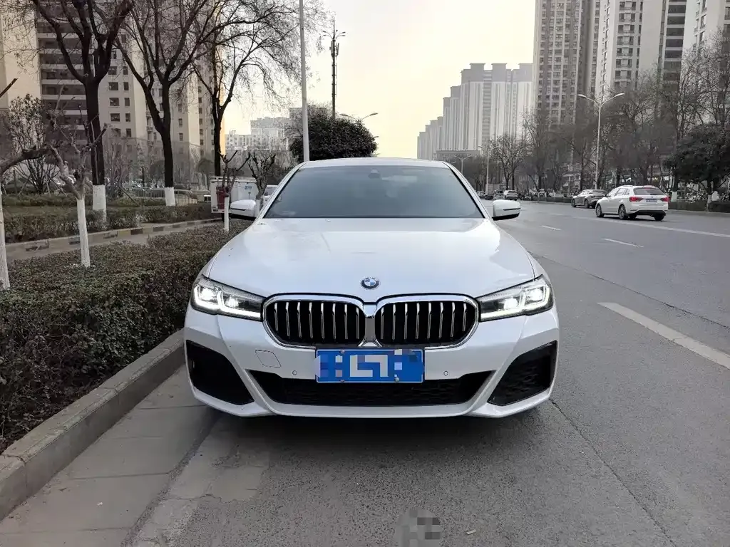 BMW 5 Series 2024 из CN, фото 9
