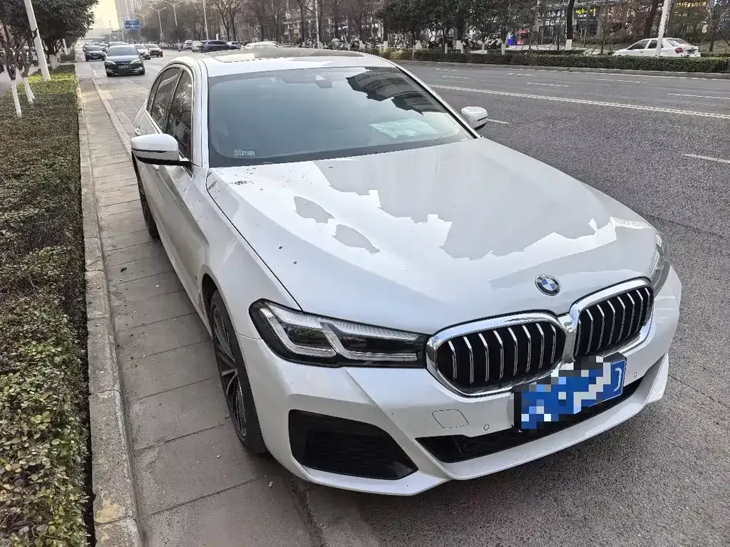BMW 5 Series 2024 из CN, фото 6
