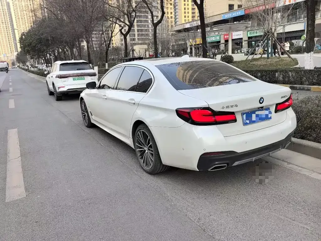 BMW 5 Series 2024 из CN, фото 7