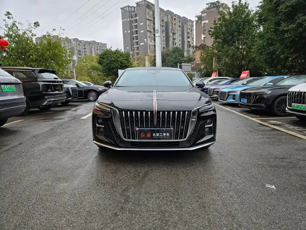 Hongqi H5 2024 из CN, фото 10